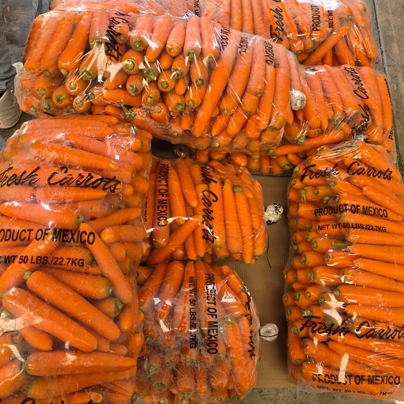 ABAR Bolsa Plástica Fresh Carrots